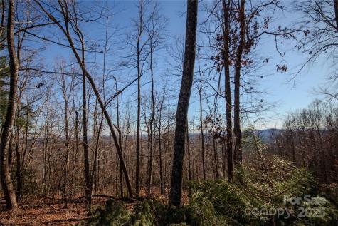 2209 Nighthawk Ridge Court Lenoir NC 28645