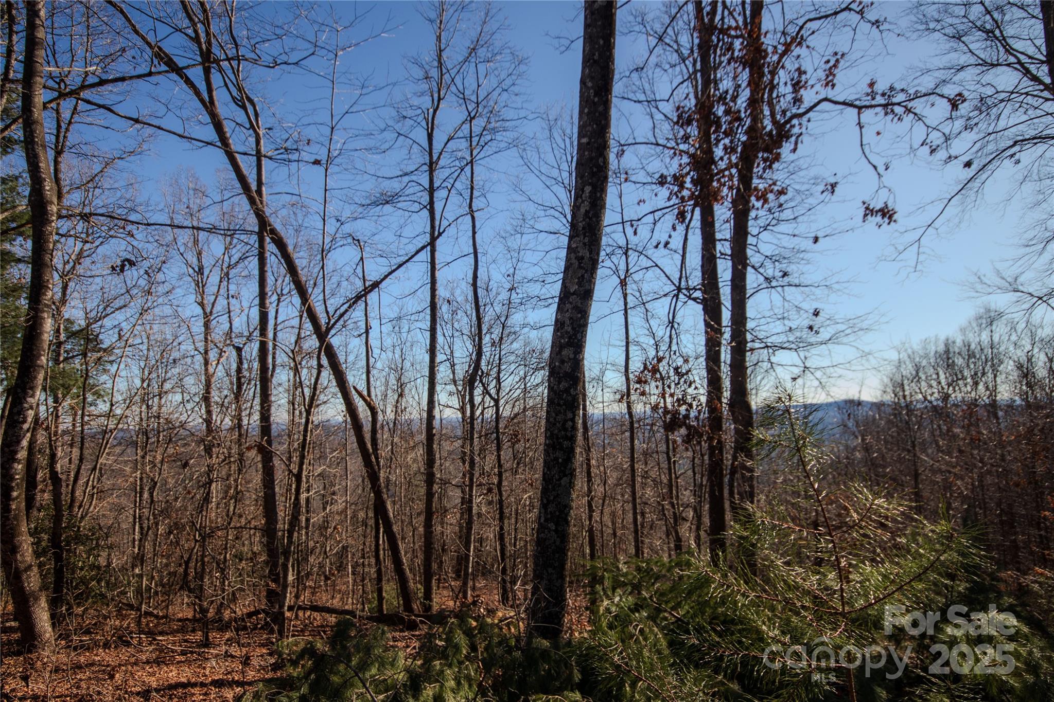 2209 Nighthawk Ridge Court Lenoir NC 28645