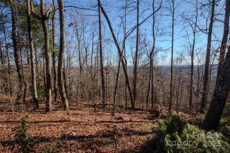 2209 Nighthawk Ridge Court Lenoir NC 28645