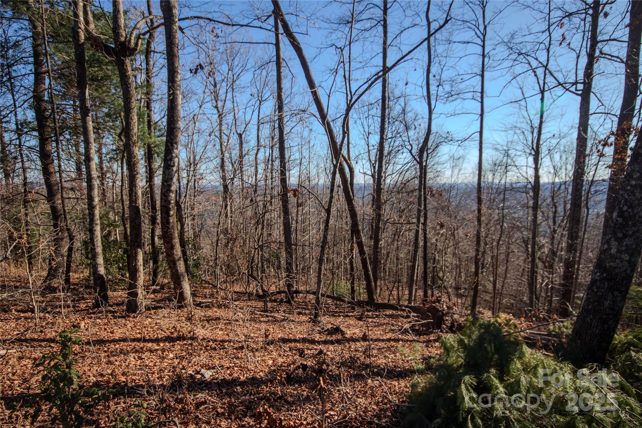 2209 Nighthawk Ridge Court Lenoir NC 28645