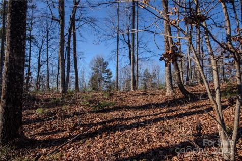 2209 Nighthawk Ridge Court Lenoir NC 28645