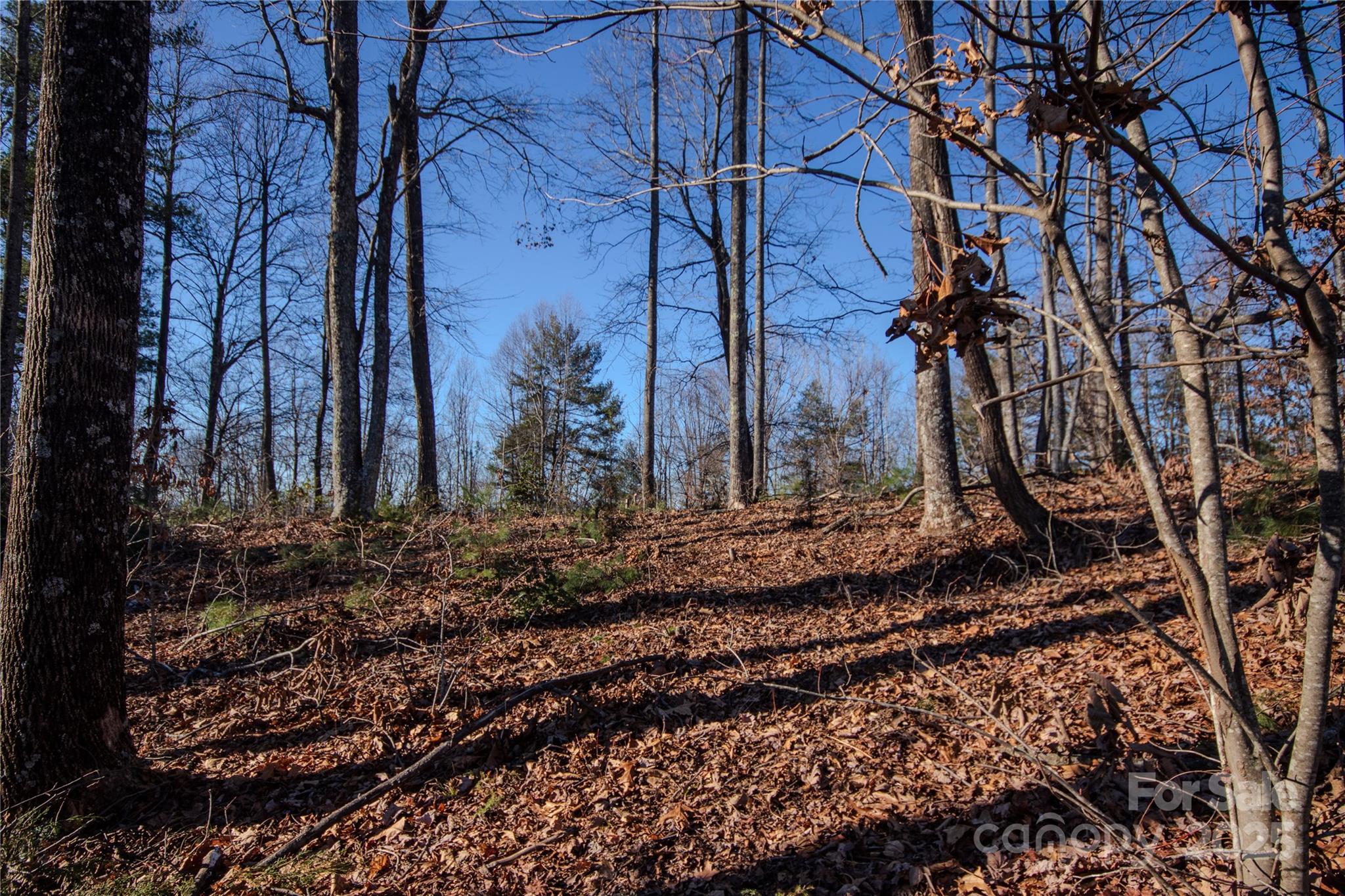 2209 Nighthawk Ridge Court Lenoir NC 28645