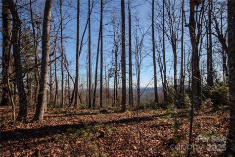 2209 Nighthawk Ridge Court Lenoir NC 28645