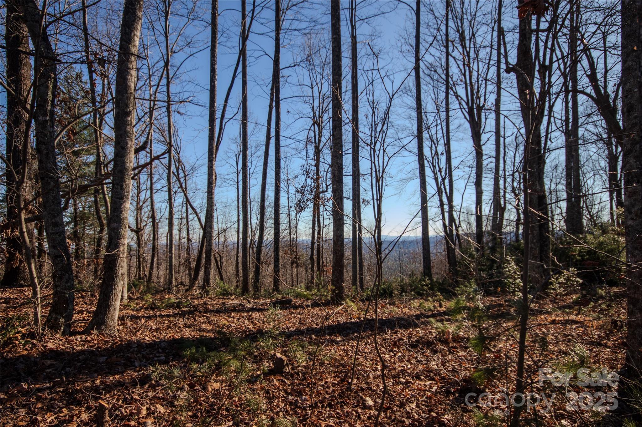 2209 Nighthawk Ridge Court Lenoir NC 28645