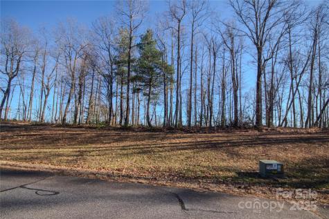 2209 Nighthawk Ridge Court Lenoir NC 28645