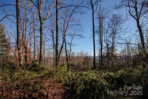 2209 Nighthawk Ridge Court Lenoir NC 28645