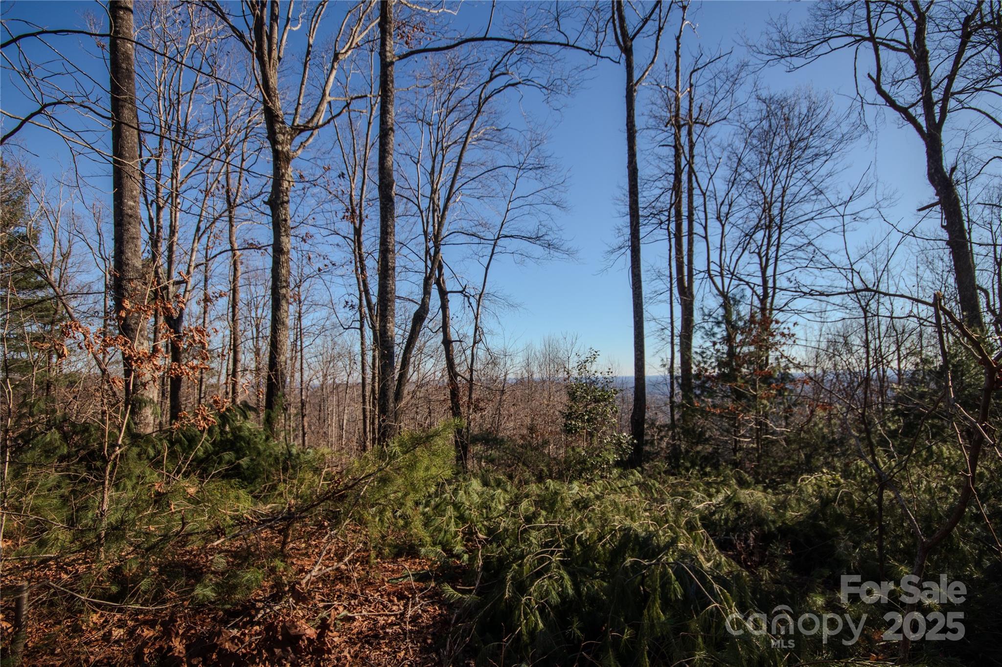 2209 Nighthawk Ridge Court Lenoir NC 28645