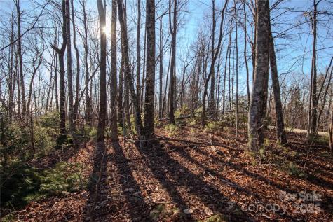 2209 Nighthawk Ridge Court Lenoir NC 28645