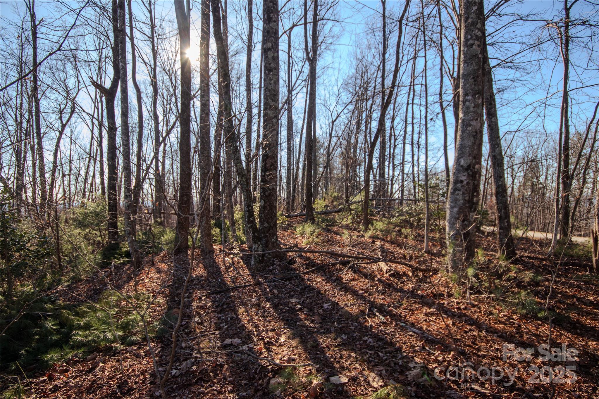 2209 Nighthawk Ridge Court Lenoir NC 28645