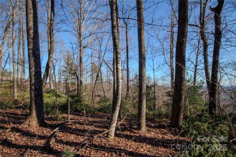 2209 Nighthawk Ridge Court Lenoir NC 28645