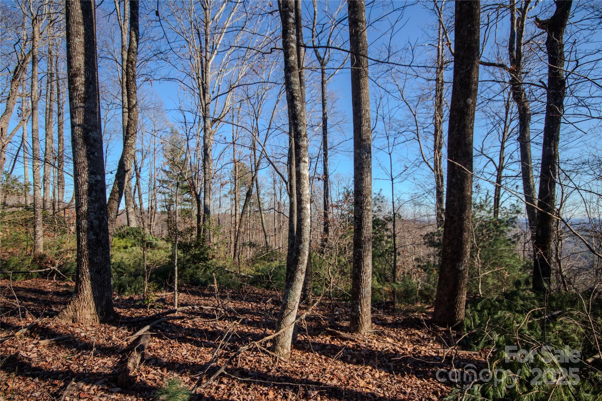 2209 Nighthawk Ridge Court Lenoir NC 28645