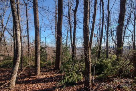 2209 Nighthawk Ridge Court Lenoir NC 28645