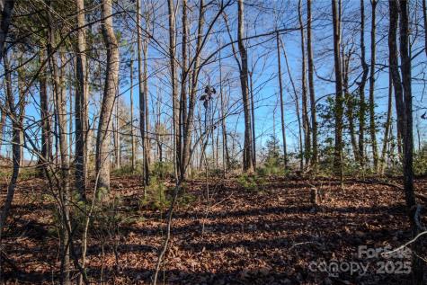 2209 Nighthawk Ridge Court Lenoir NC 28645