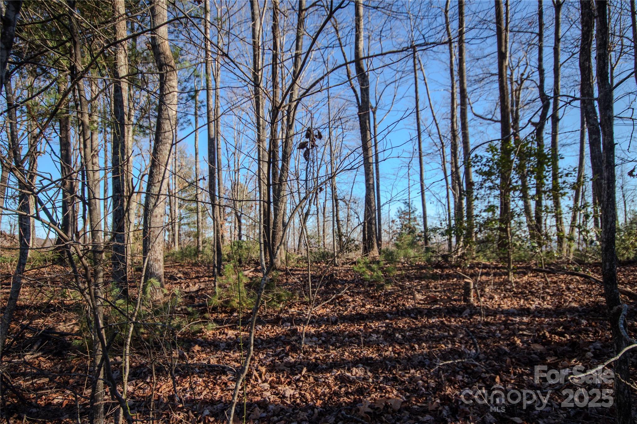 2209 Nighthawk Ridge Court Lenoir NC 28645