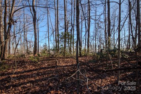 2209 Nighthawk Ridge Court Lenoir NC 28645