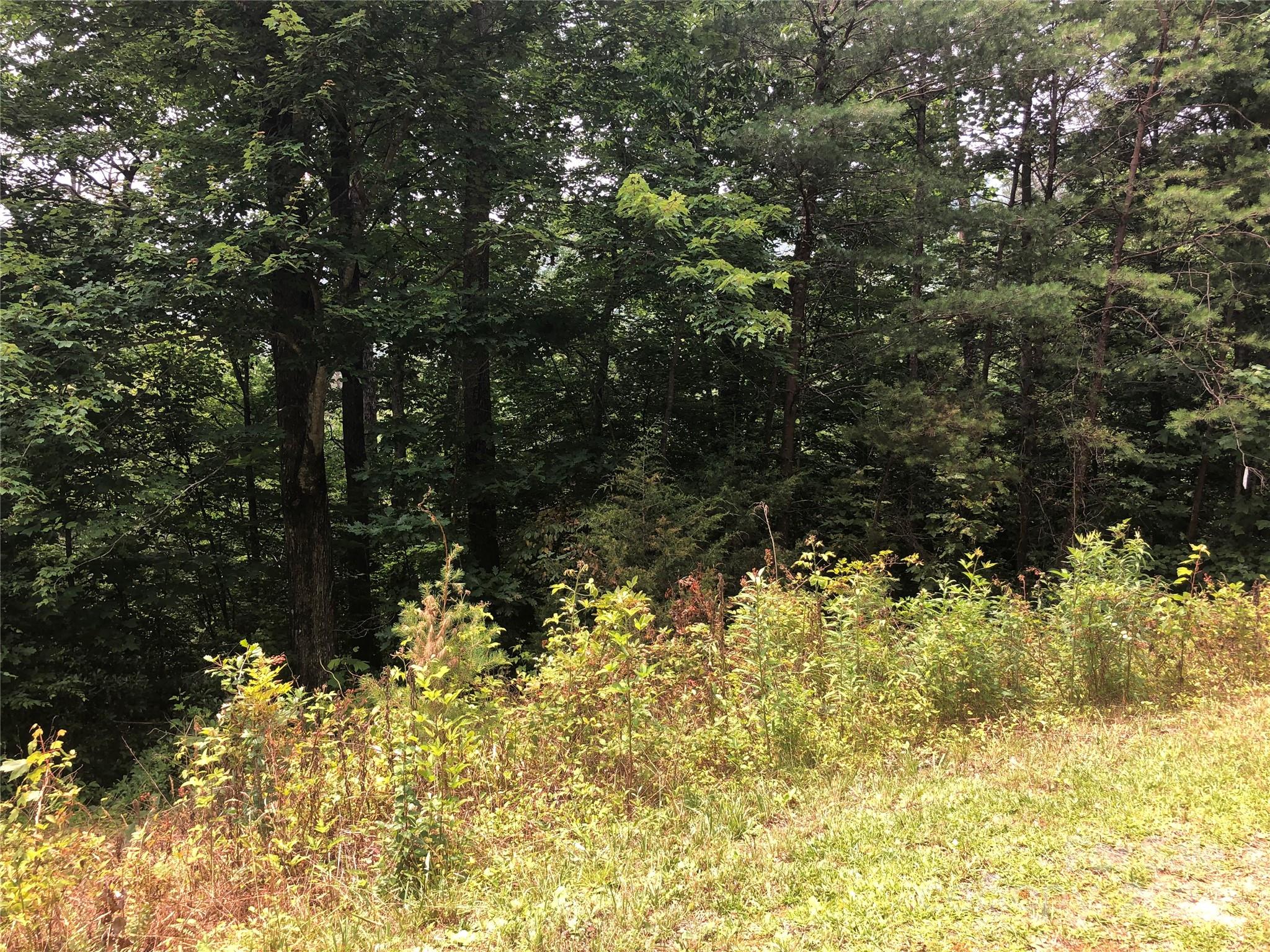 0 Crossings Drive S Marion NC 28752