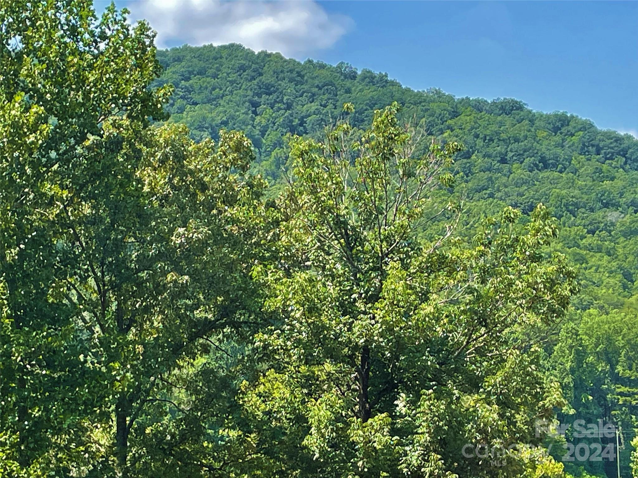 0 Crossings Drive S Marion NC 28752