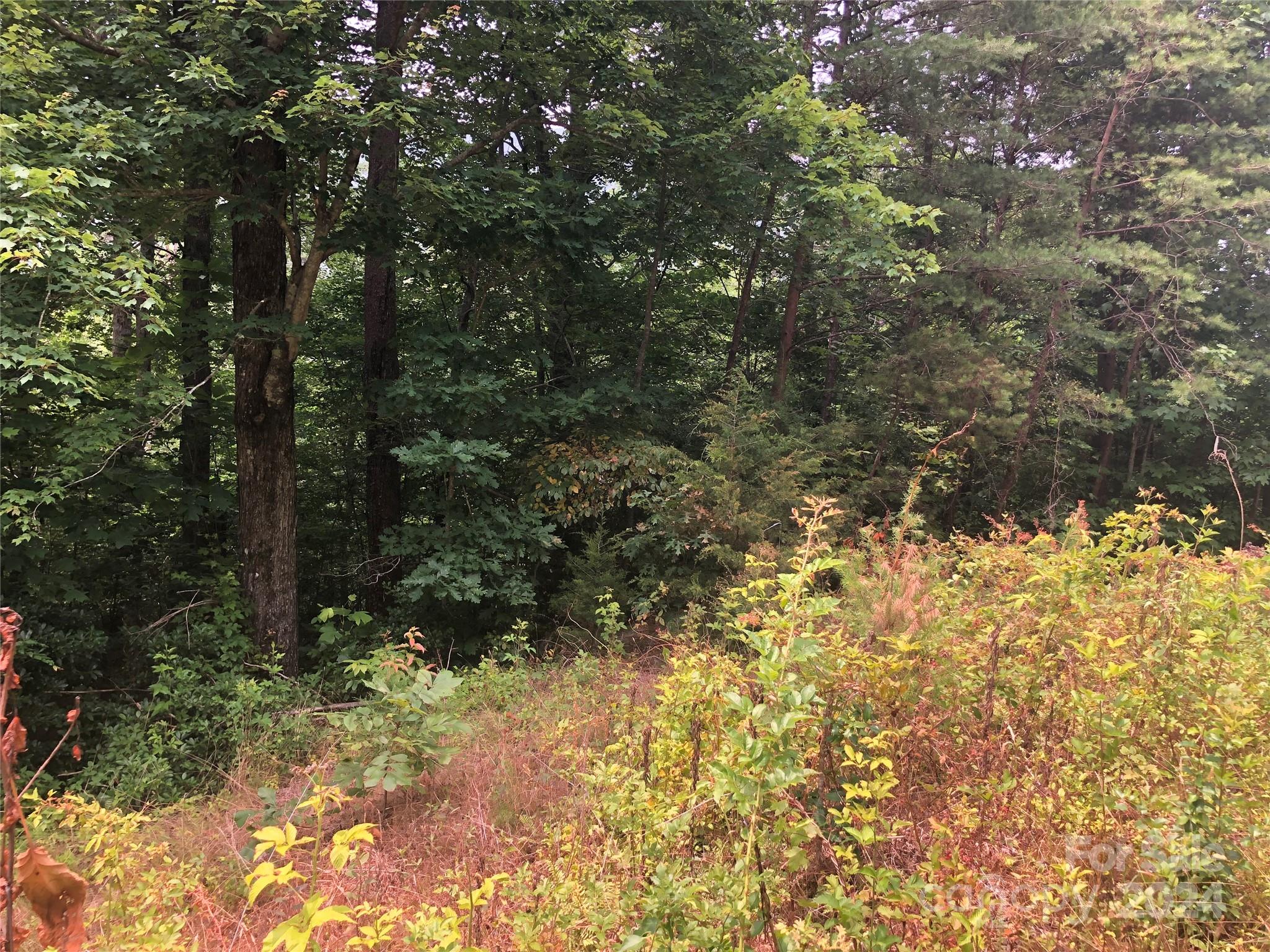 0 Crossings Drive S Marion NC 28752