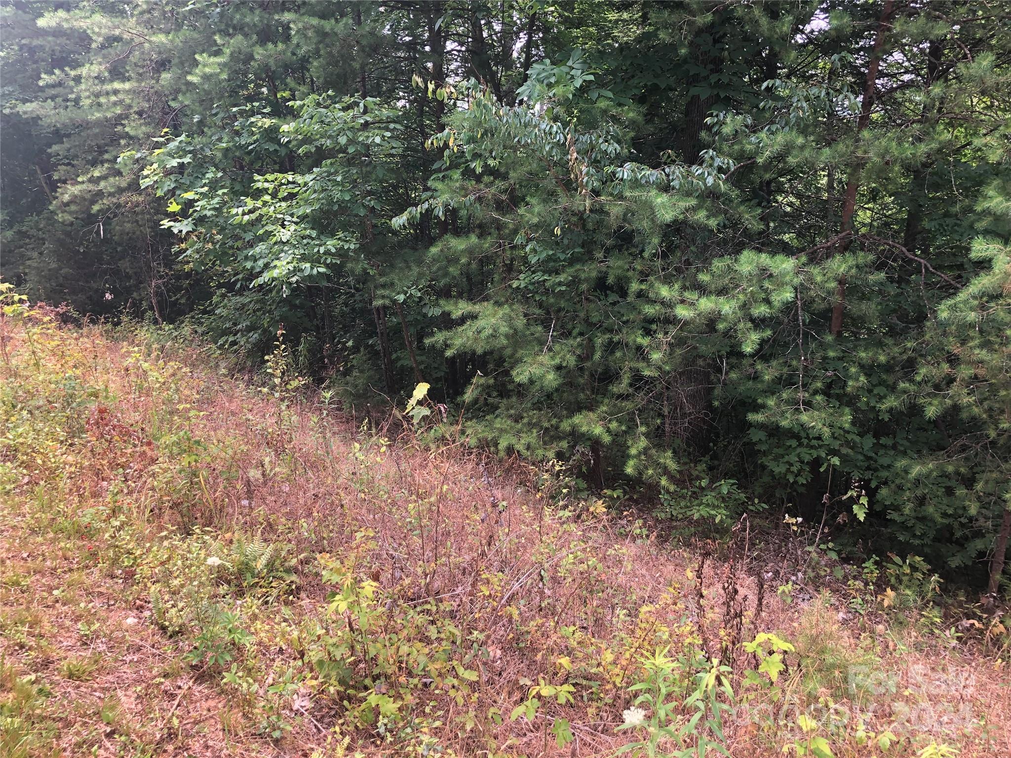 0 Crossings Drive S Marion NC 28752