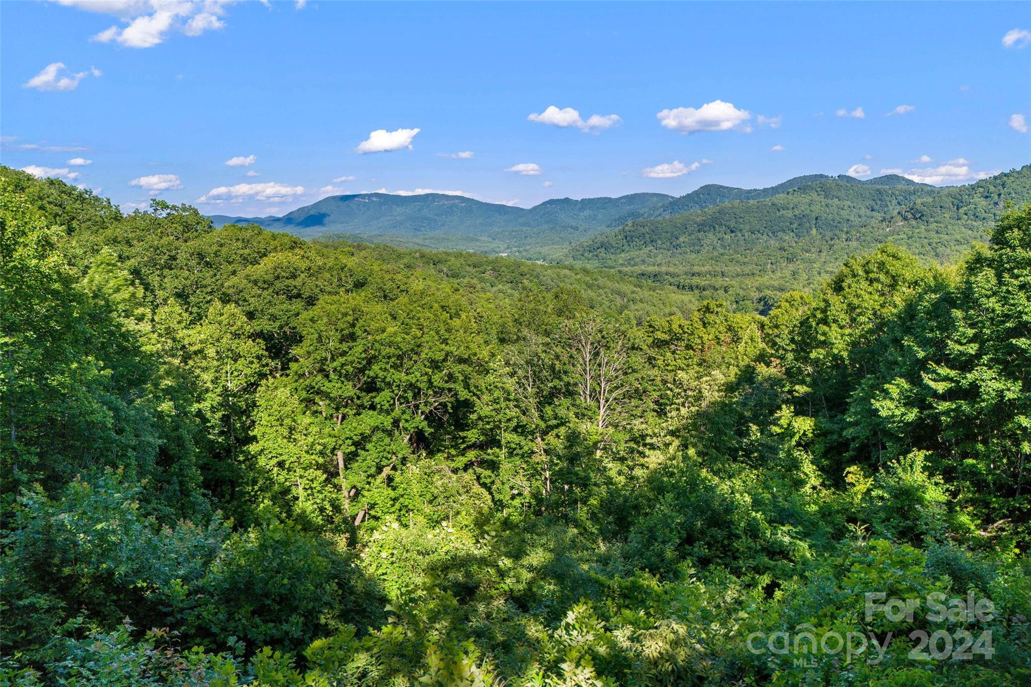 133 Nuthatch Lane Black Mountain NC 28711