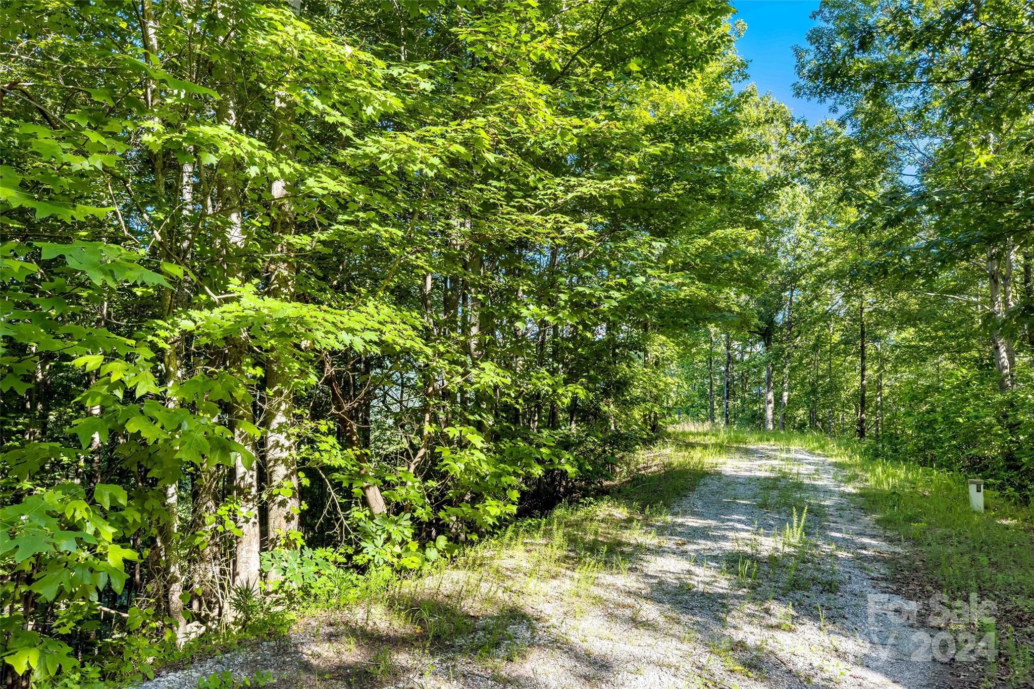 133 Nuthatch Lane Black Mountain NC 28711