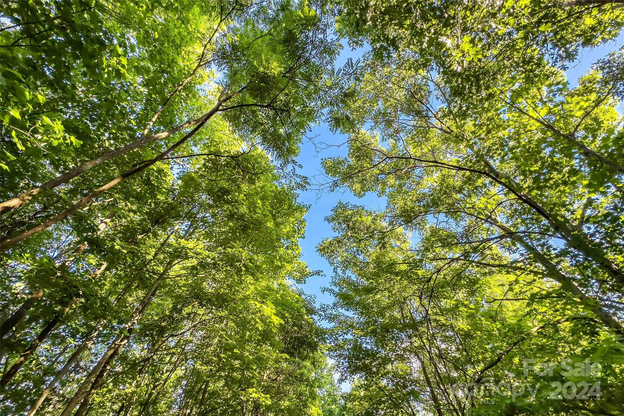 133 Nuthatch Lane Black Mountain NC 28711