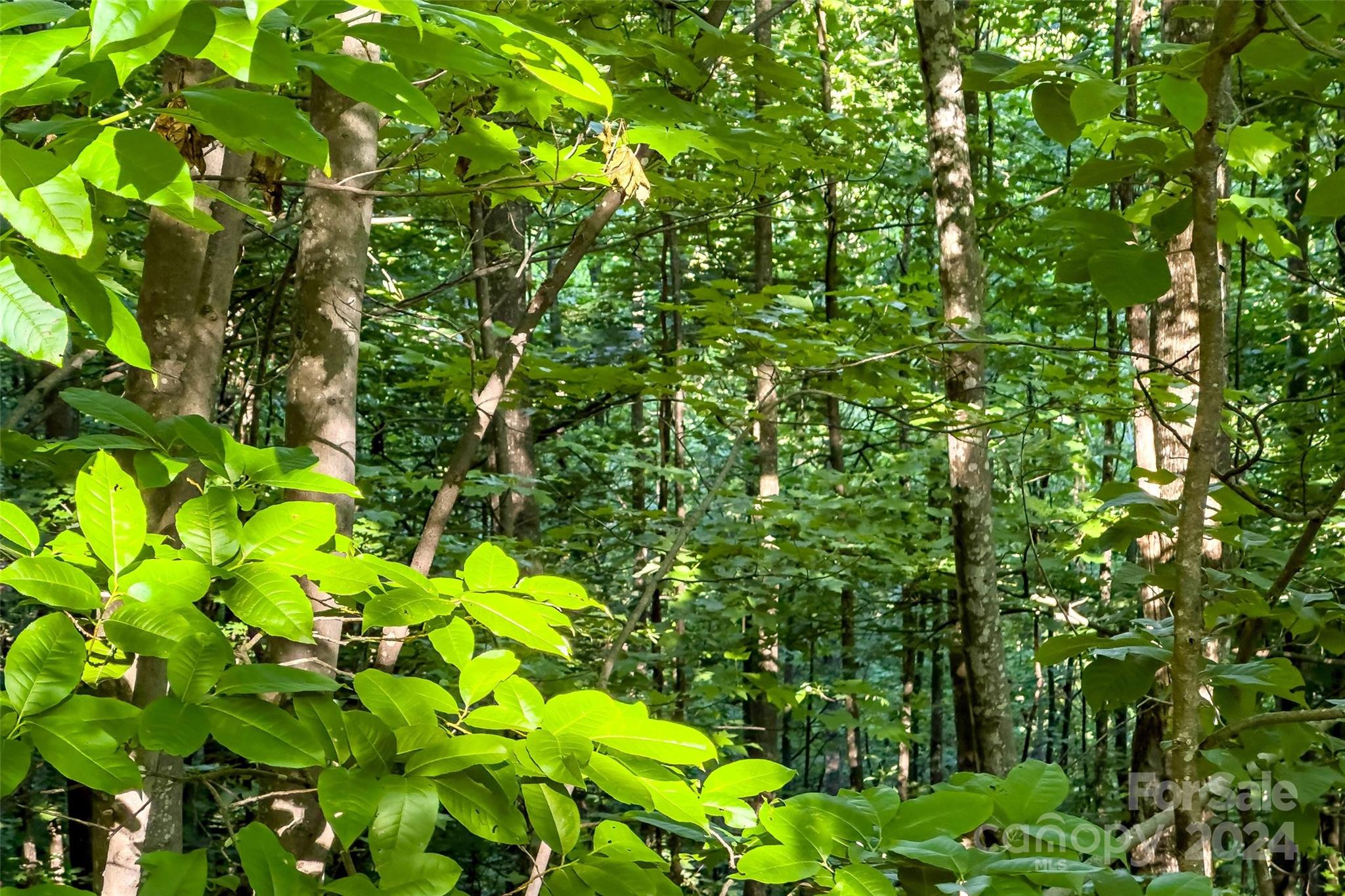133 Nuthatch Lane Black Mountain NC 28711