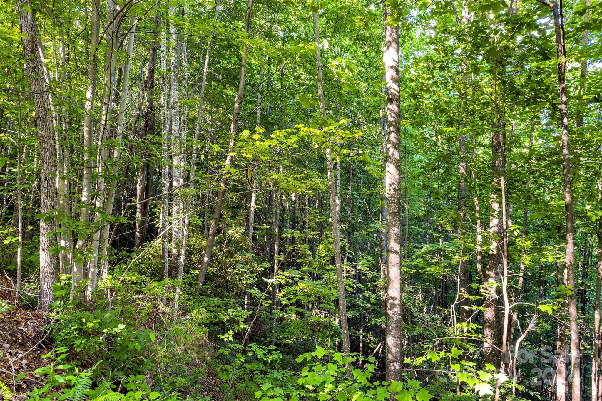 133 Nuthatch Lane Black Mountain NC 28711