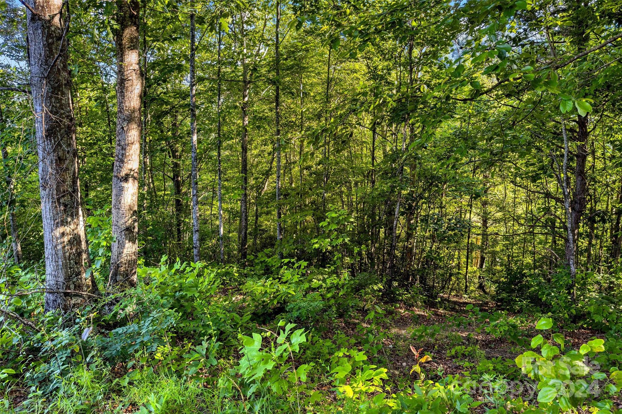 133 Nuthatch Lane Black Mountain NC 28711
