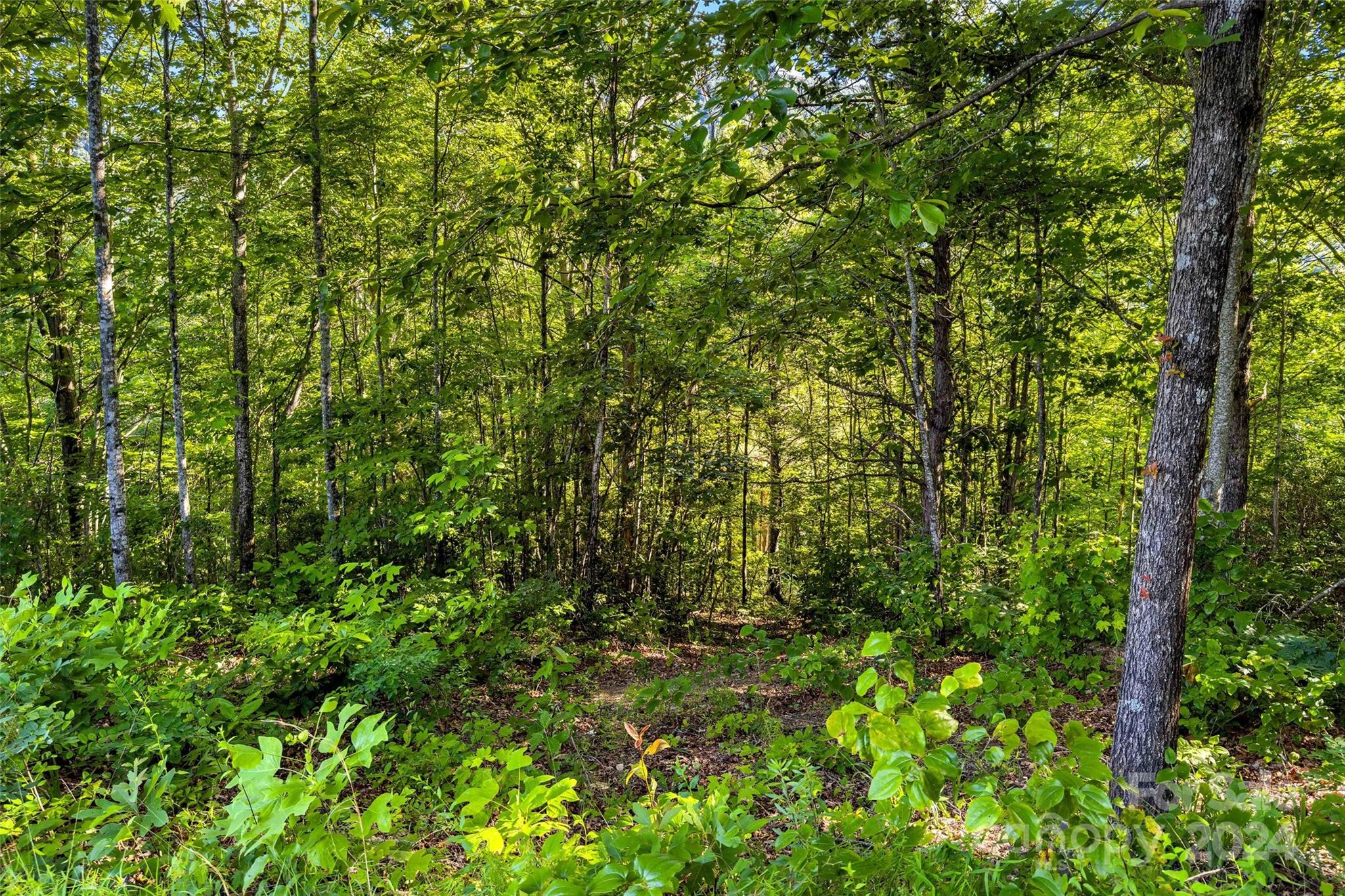 133 Nuthatch Lane Black Mountain NC 28711