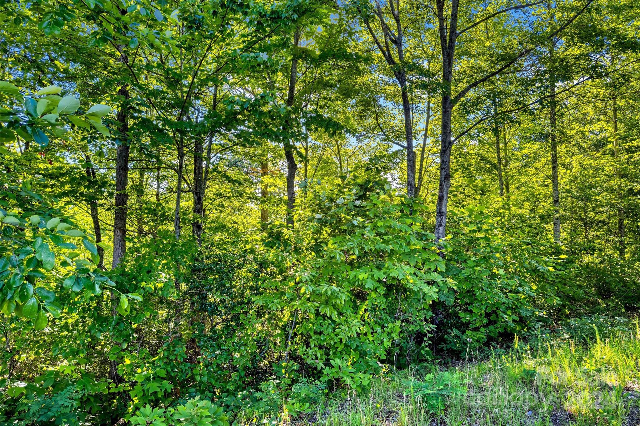 133 Nuthatch Lane Black Mountain NC 28711