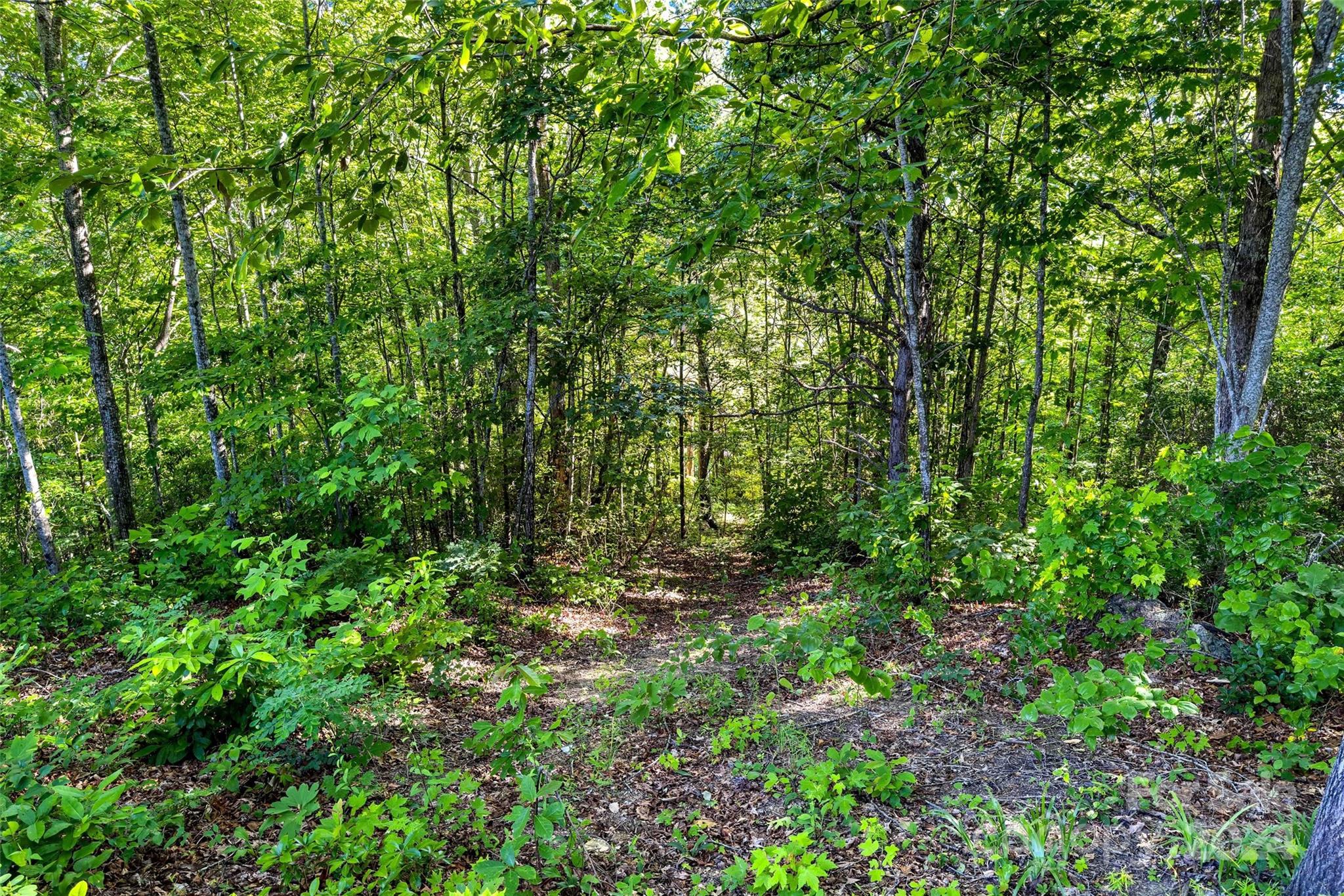 133 Nuthatch Lane Black Mountain NC 28711
