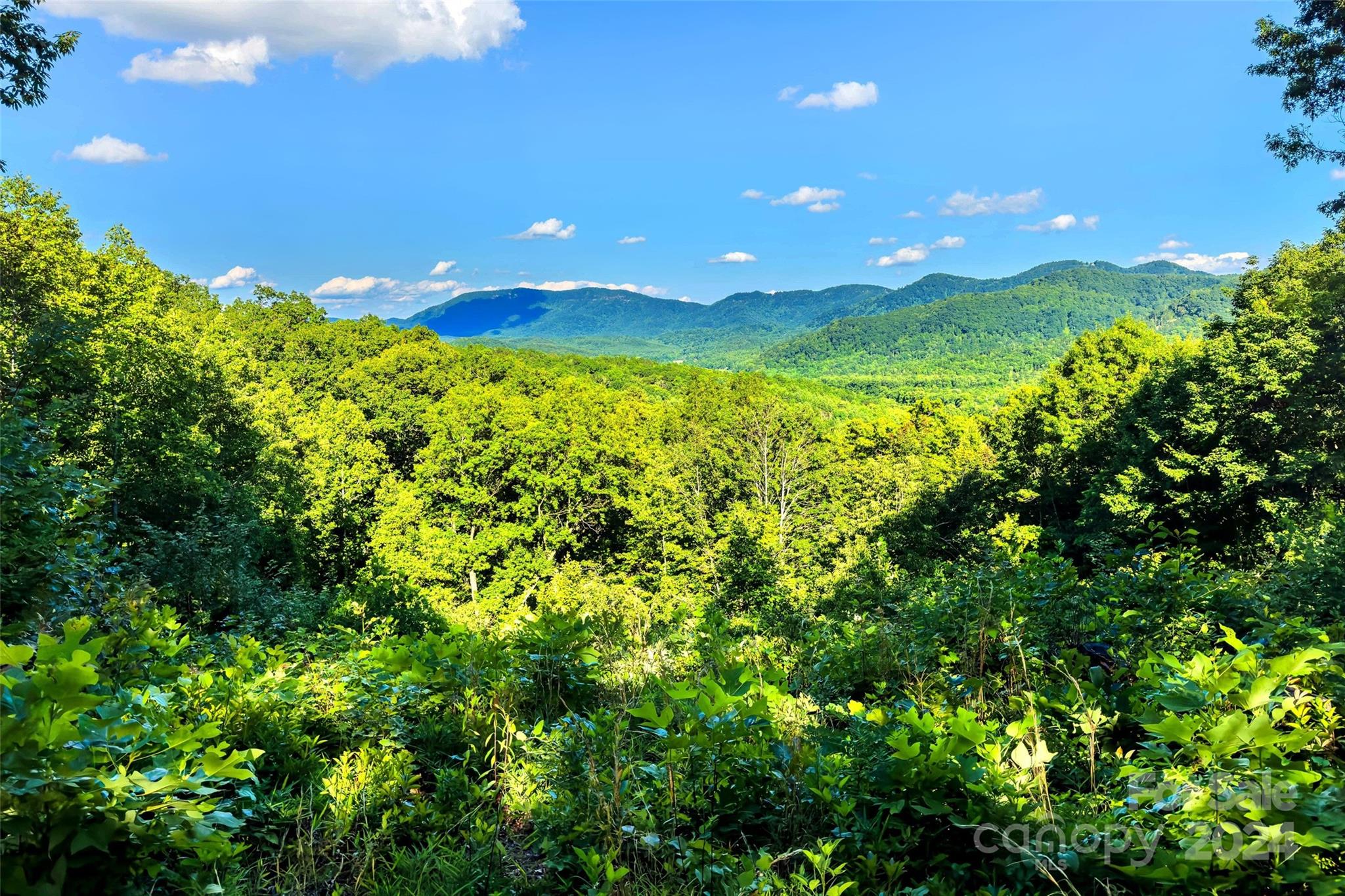 133 Nuthatch Lane Black Mountain NC 28711
