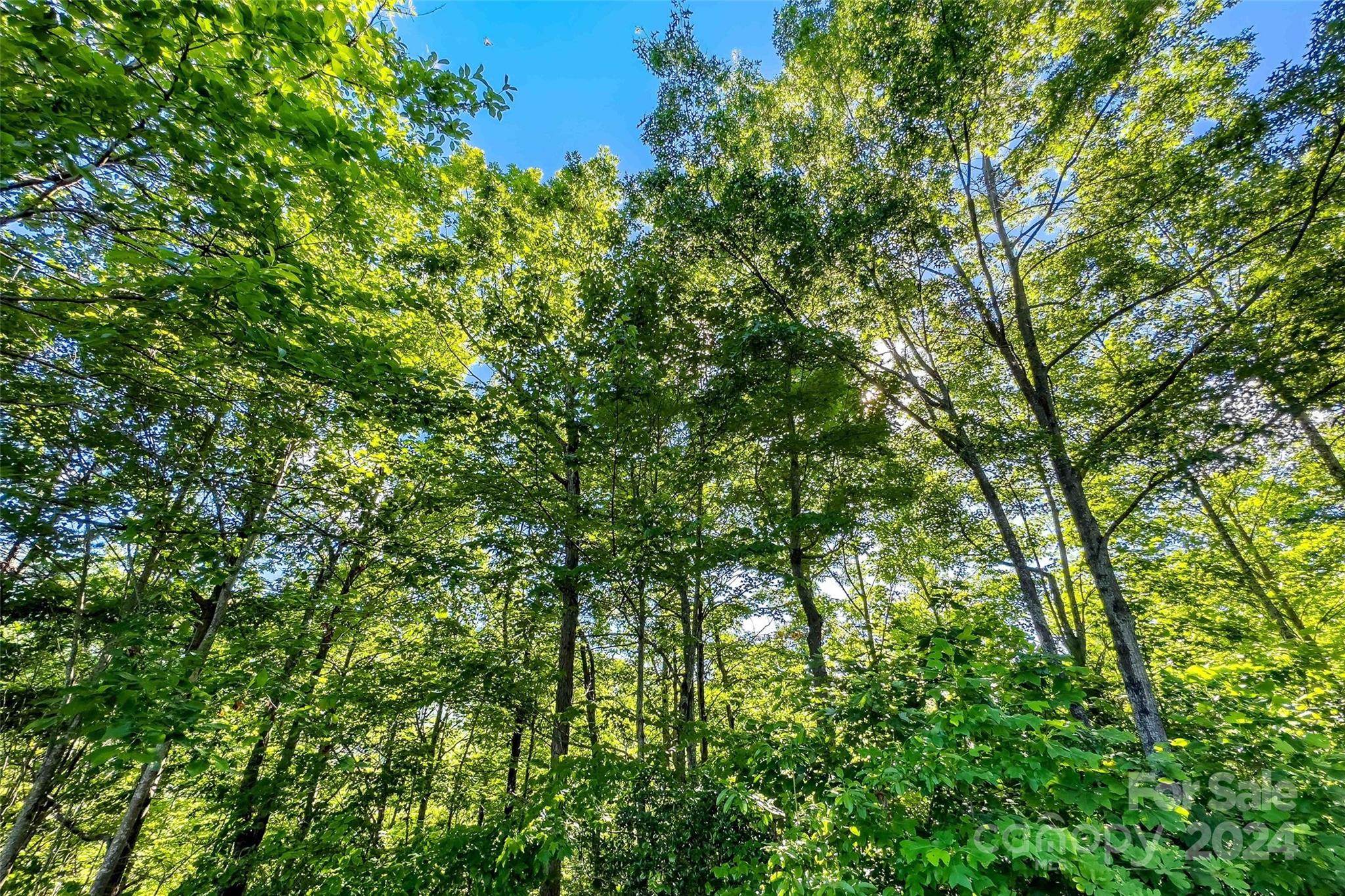 133 Nuthatch Lane Black Mountain NC 28711