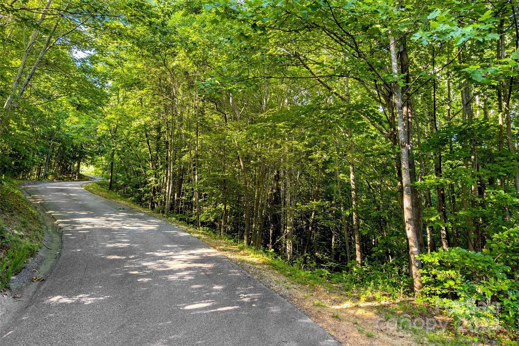 133 Nuthatch Lane Black Mountain NC 28711