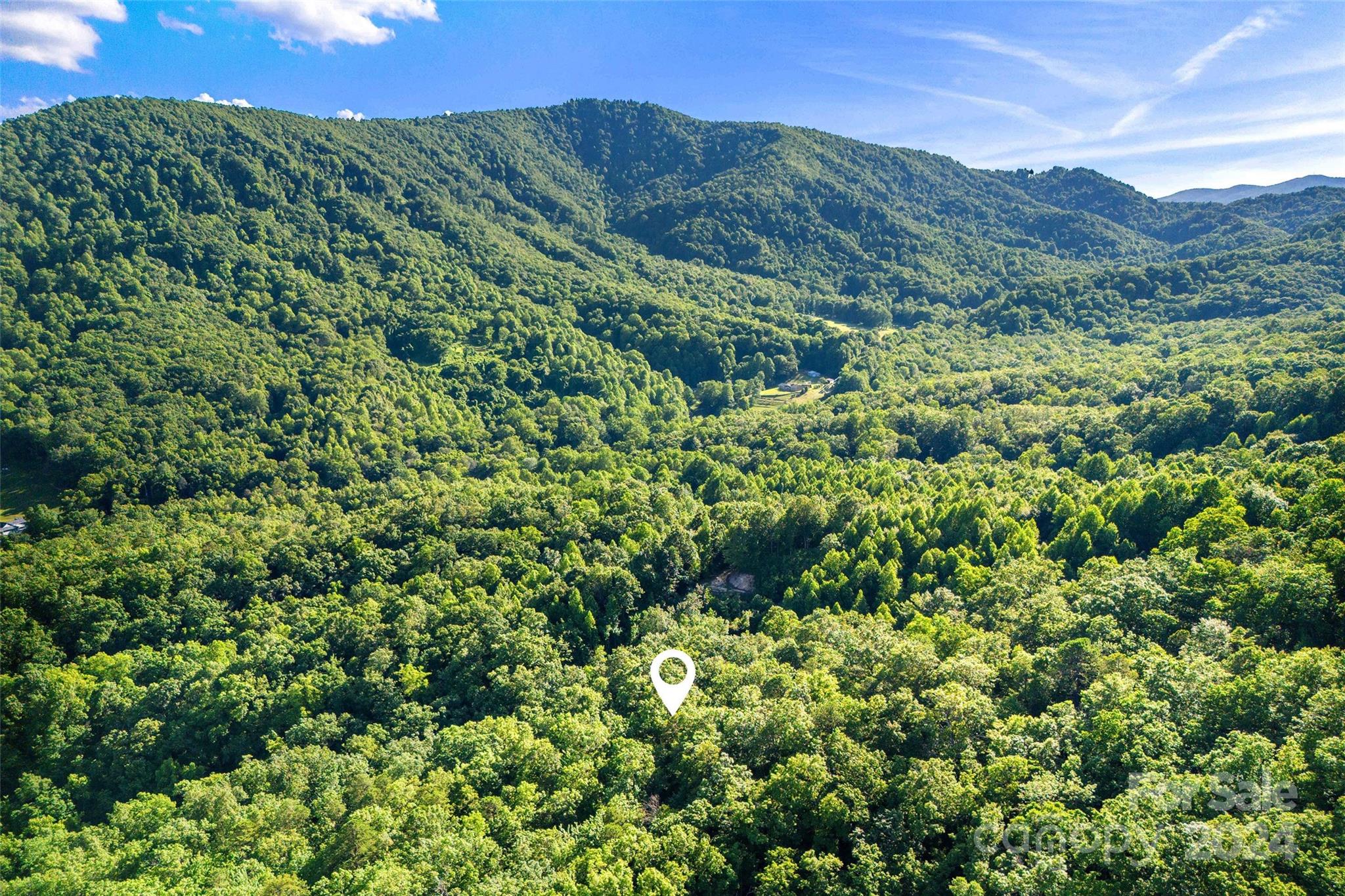 133 Nuthatch Lane Black Mountain NC 28711