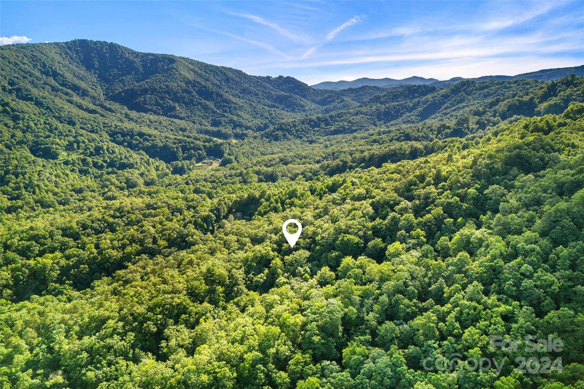 133 Nuthatch Lane Black Mountain NC 28711