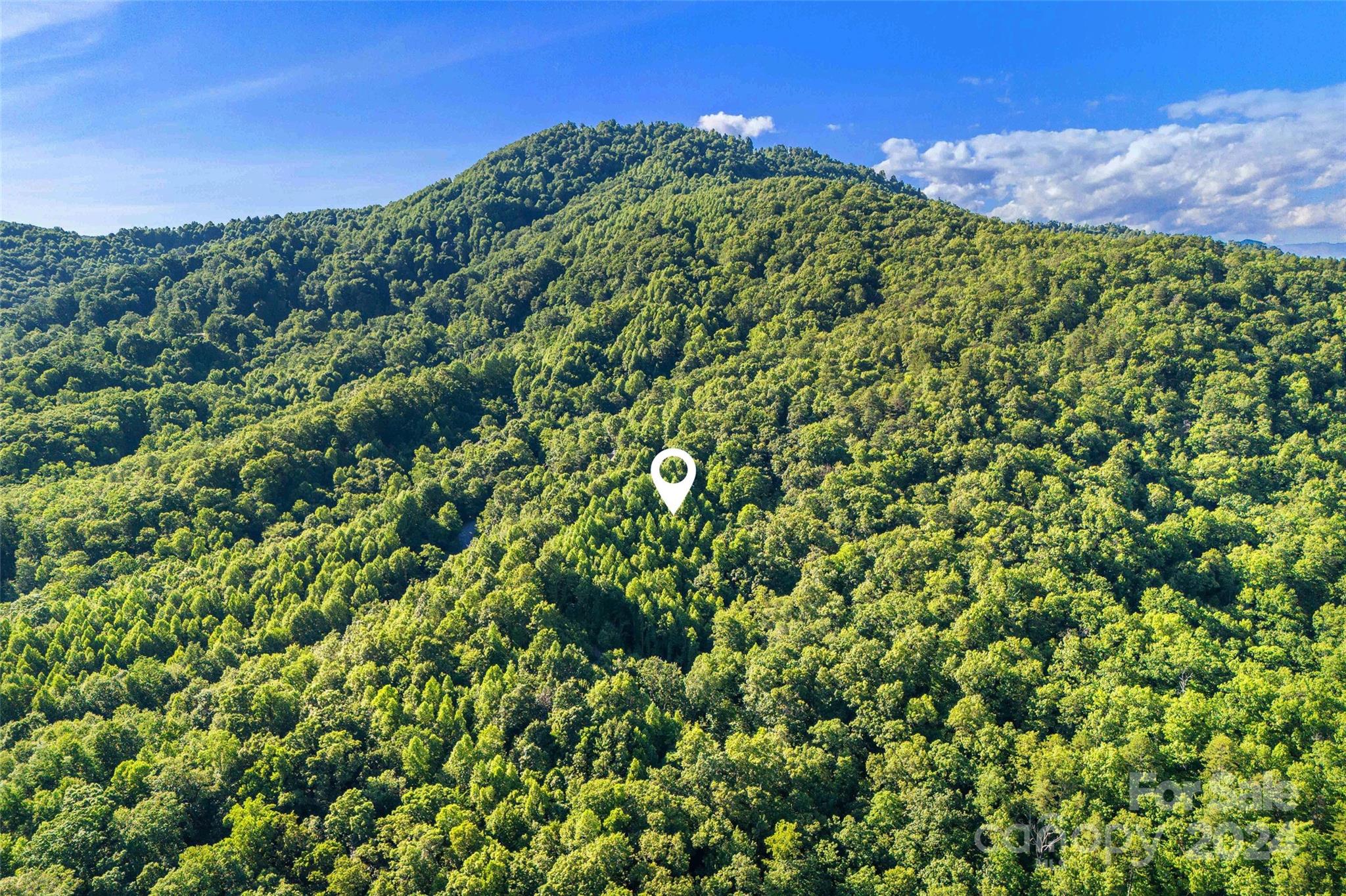 133 Nuthatch Lane Black Mountain NC 28711