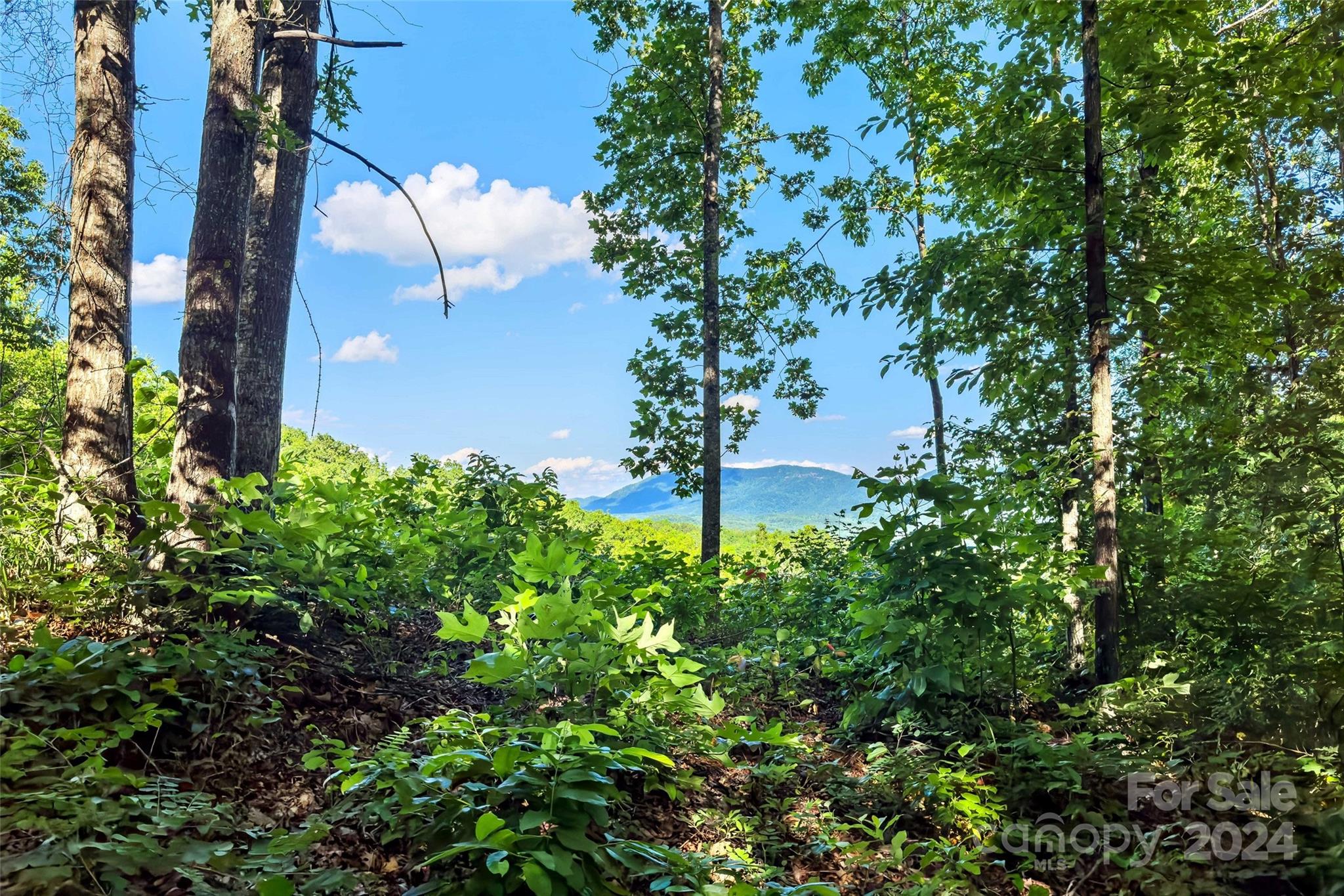 133 Nuthatch Lane Black Mountain NC 28711