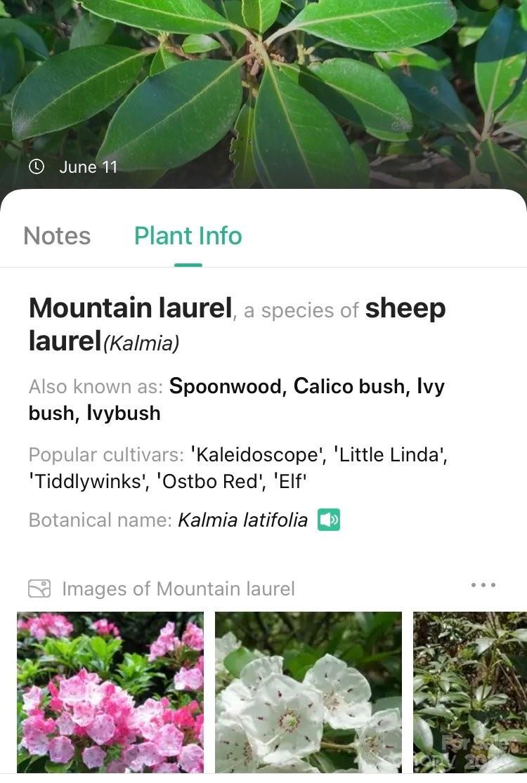 133 Nuthatch Lane Black Mountain NC 28711
