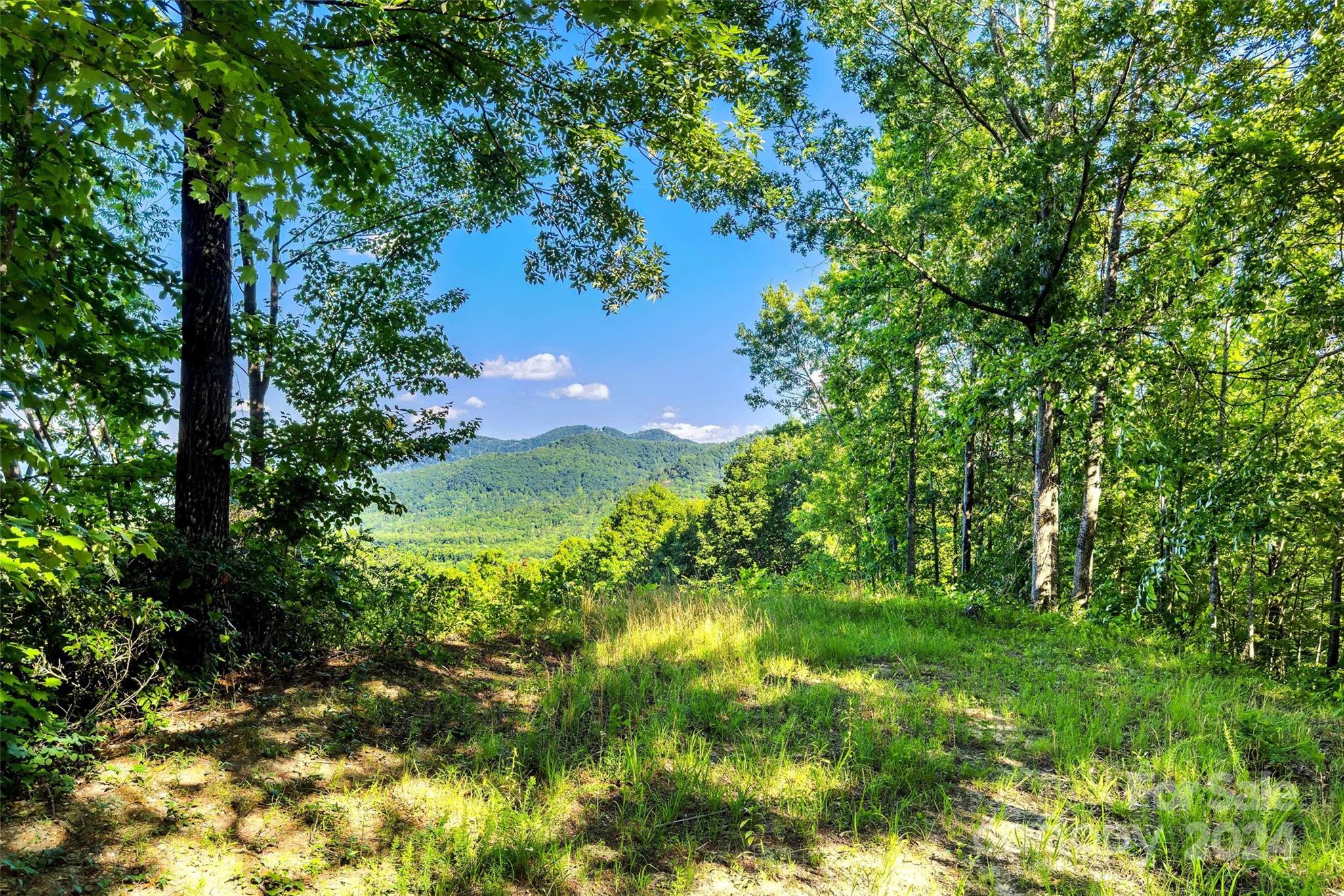 133 Nuthatch Lane Black Mountain NC 28711