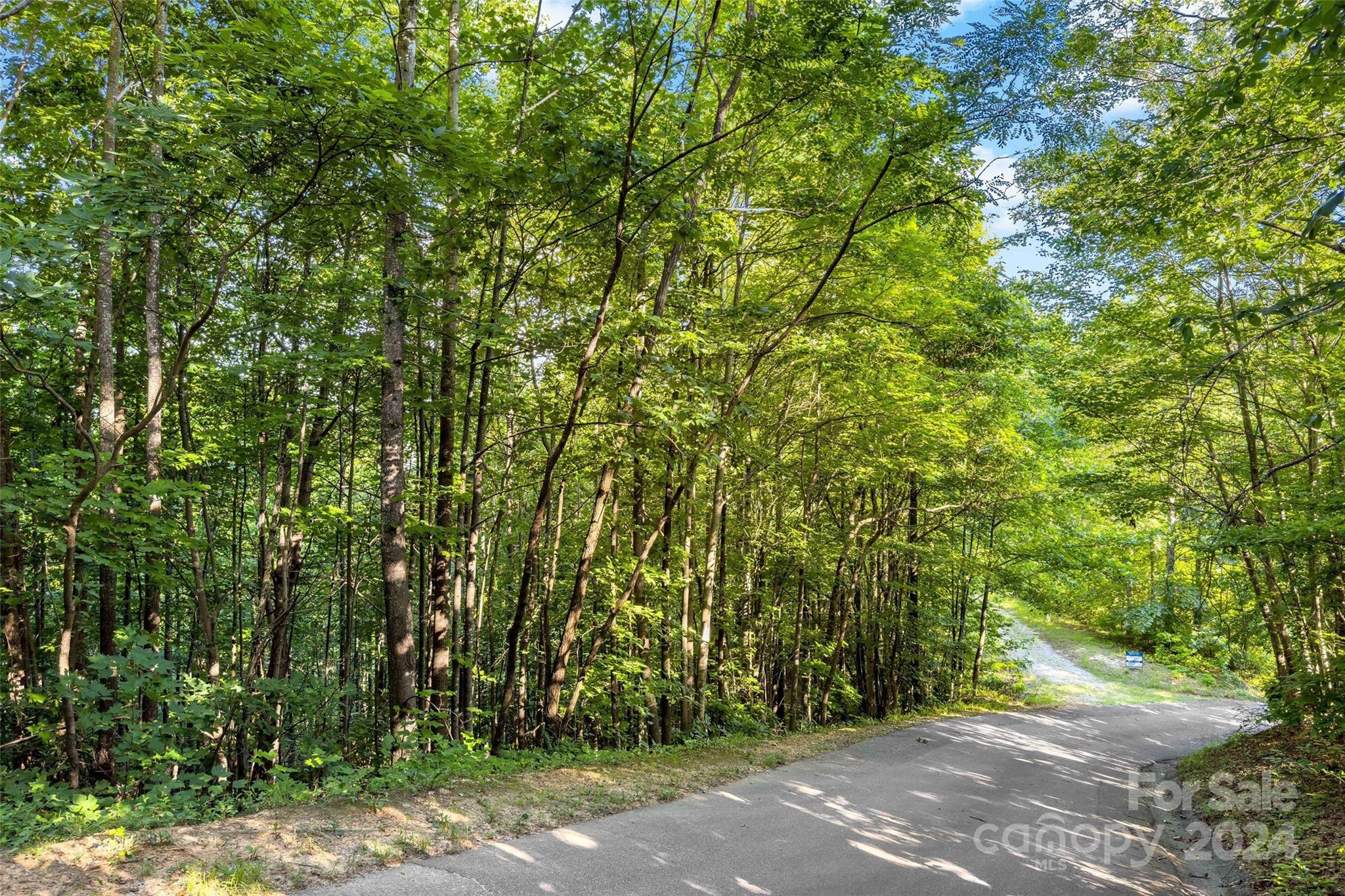 133 Nuthatch Lane Black Mountain NC 28711