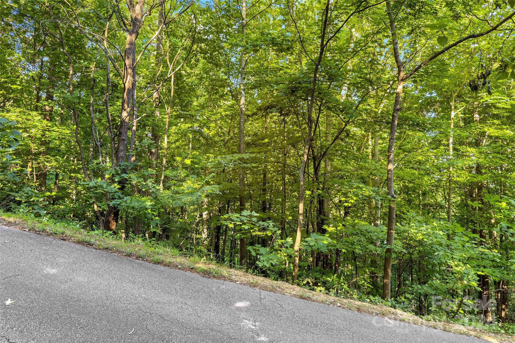 133 Nuthatch Lane Black Mountain NC 28711