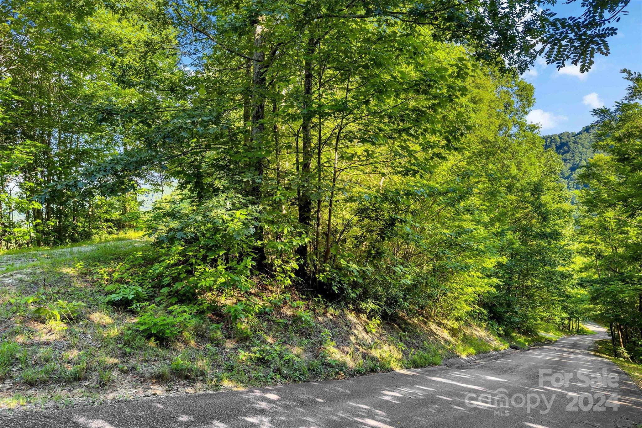 133 Nuthatch Lane Black Mountain NC 28711