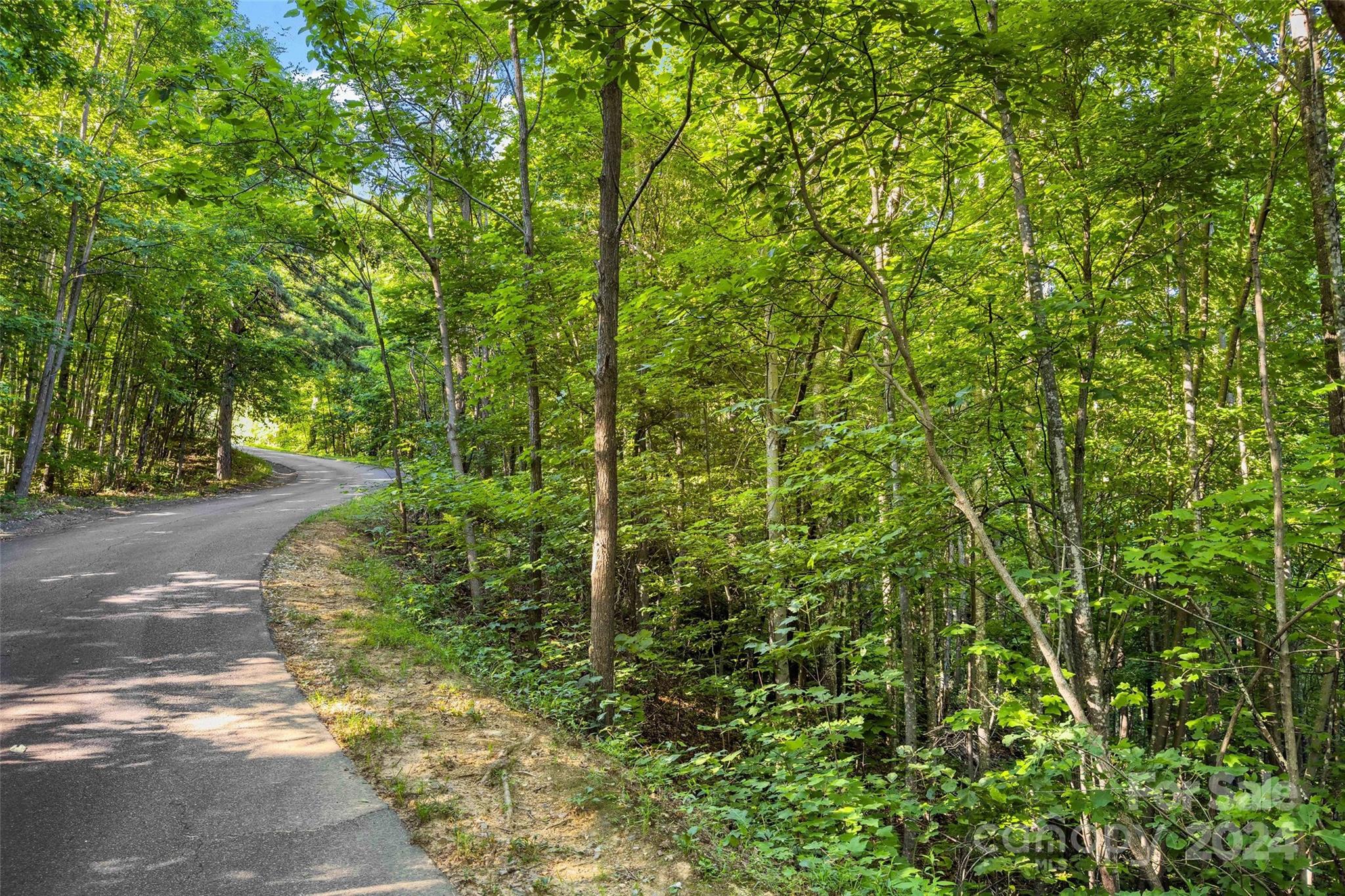 133 Nuthatch Lane Black Mountain NC 28711