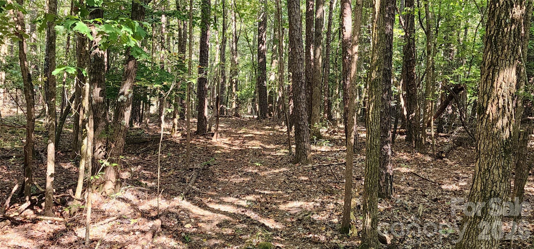1115 John Short Road Indian Land SC 29707