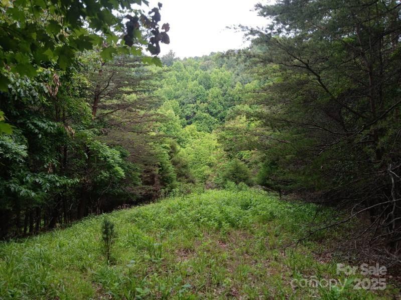 2255 Nc Highway 268 Highway Wilkesboro NC 28697