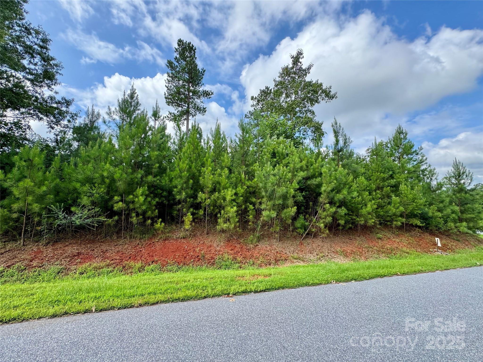 2039 Lake Vista Drive NE Connelly Springs NC 28612