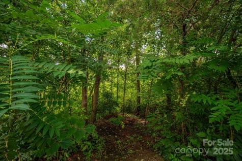 Lot 34 Line Drive Forest City NC 28043