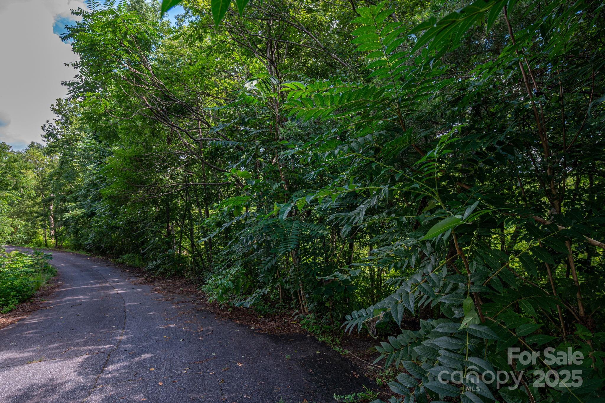 Lot 34 Line Drive Forest City NC 28043